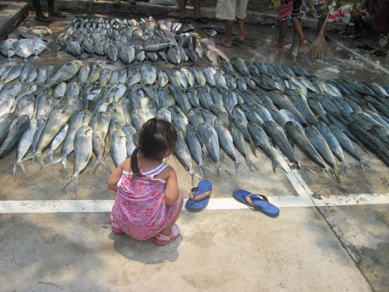 Traditional Thai Fishing Ship - 