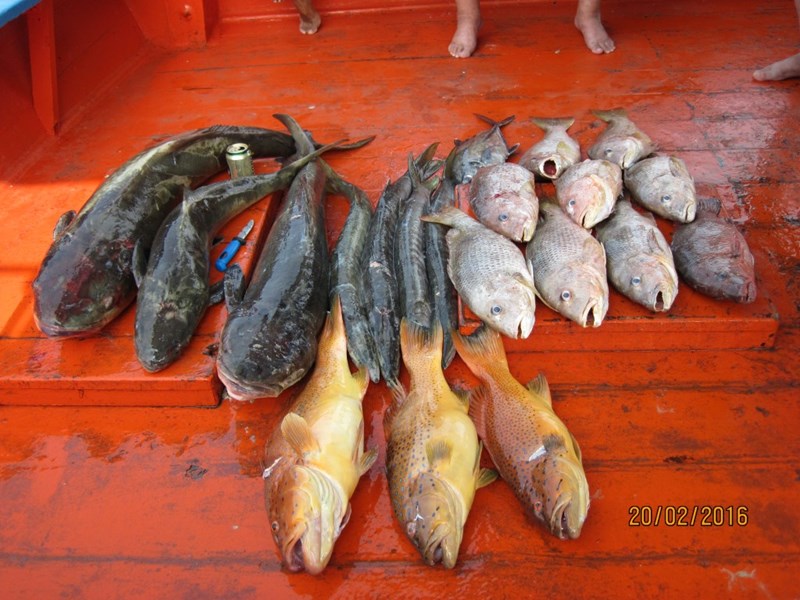 Traditional Thai Fishing Ship - 