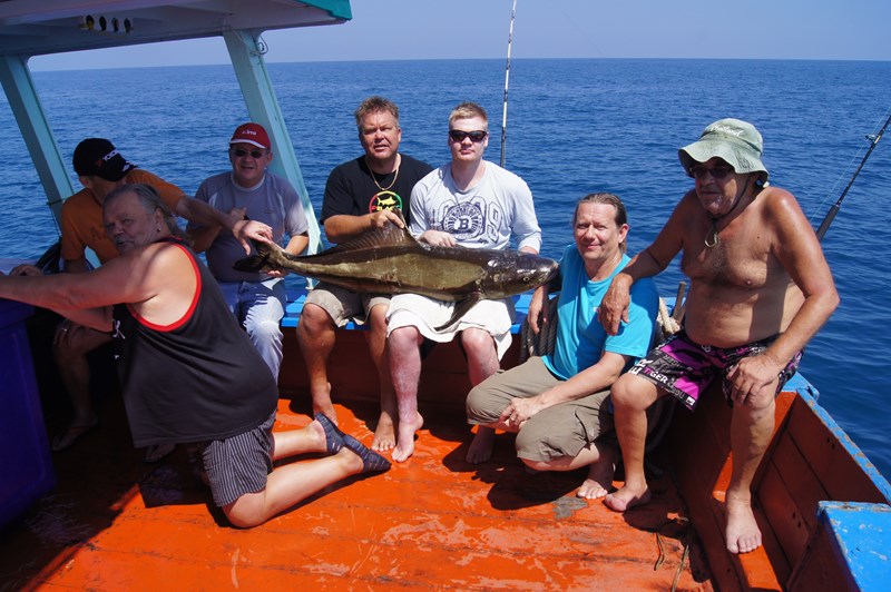 32kg Cobia and lots of King Mackerel